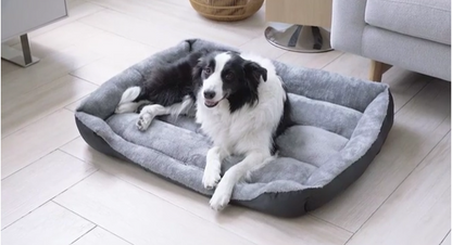 Dog Bed