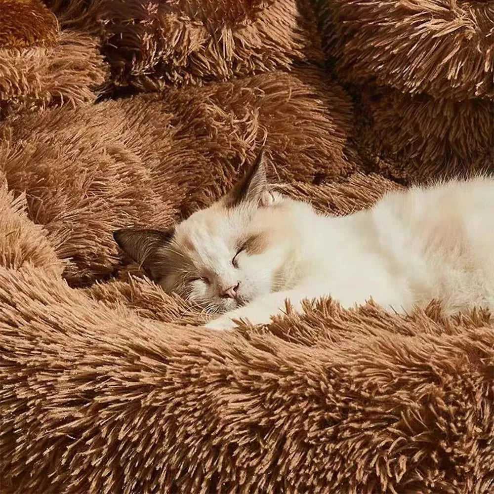 Paw Plush Bed