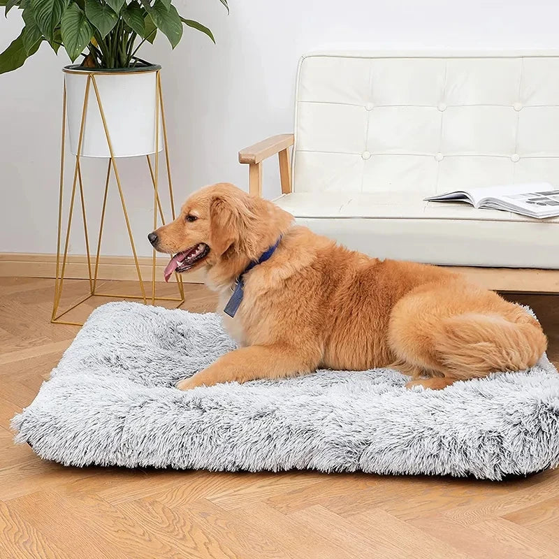 Fluffy Dog Bed