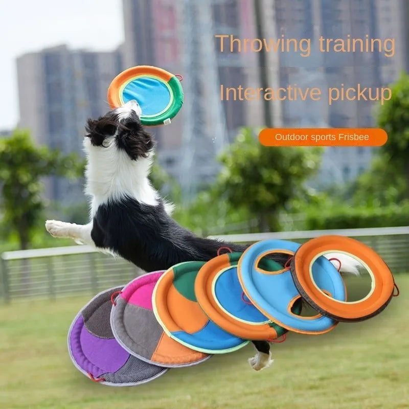 Flying Frisbee