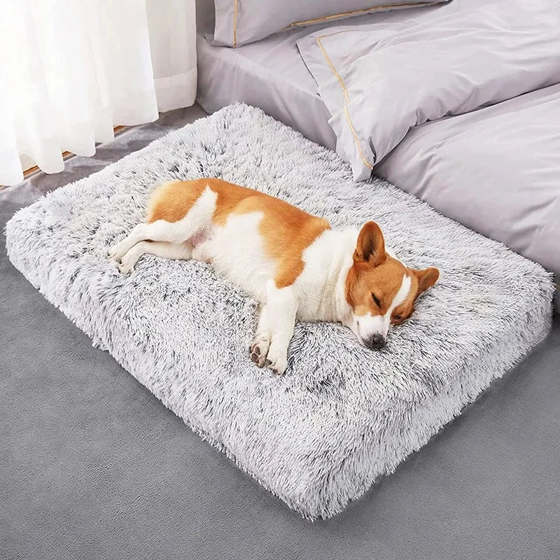 Fluffy Dog Bed