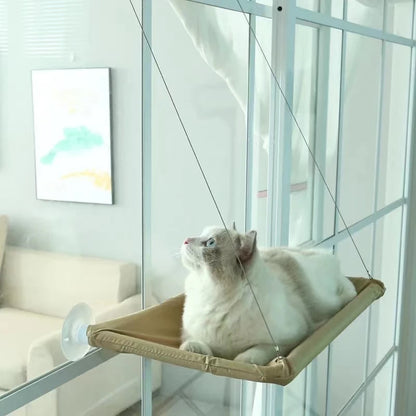 Cat Hanging Hammock