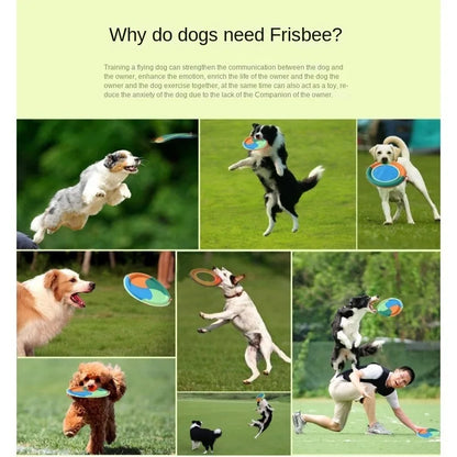 Flying Frisbee