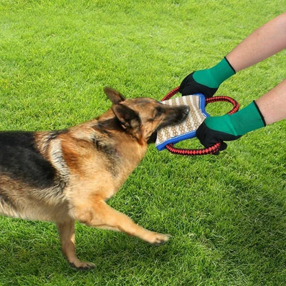 Dog Training Pillow