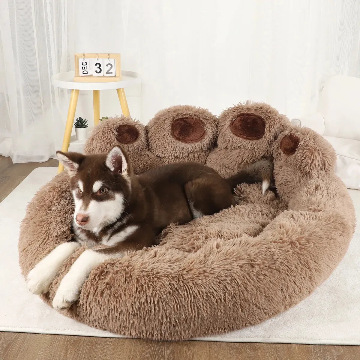 Paw Plush Bed